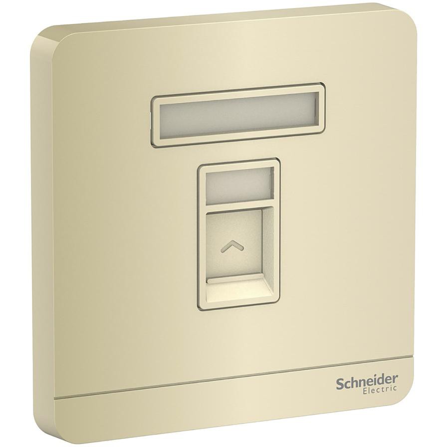 Schneider Electric AvatarOn 2 Gang Keystone Wall Plate (8.6 x 8.6 x 3.17 cm)