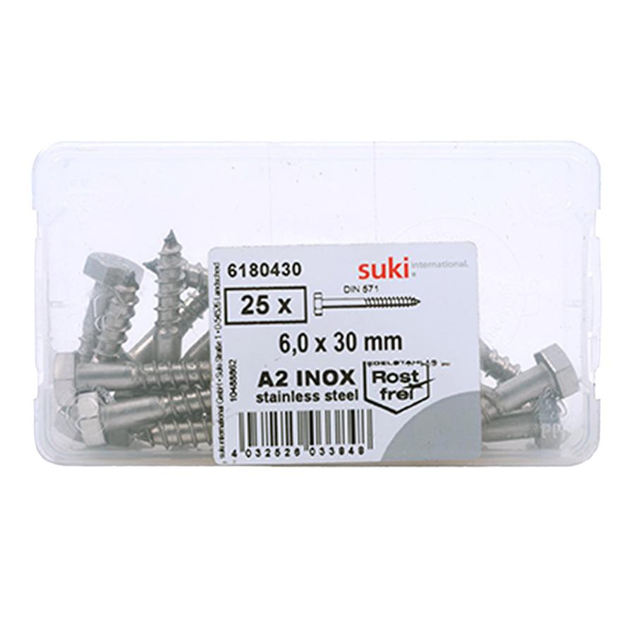 Suki Zinc Plated Pan-Head Hex Socket Machine Screws (M6 x 30 mm, Pack of 4)