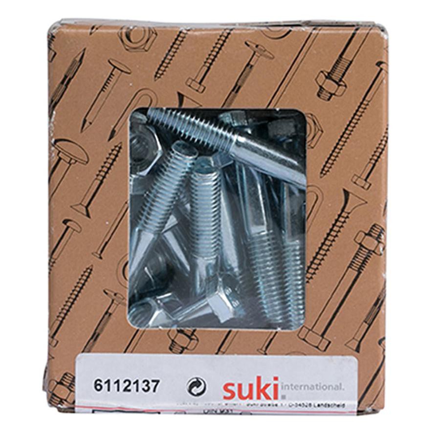 Suki Zinc-Plated DIN 601 Steel Screws (M8 x 50 mm)