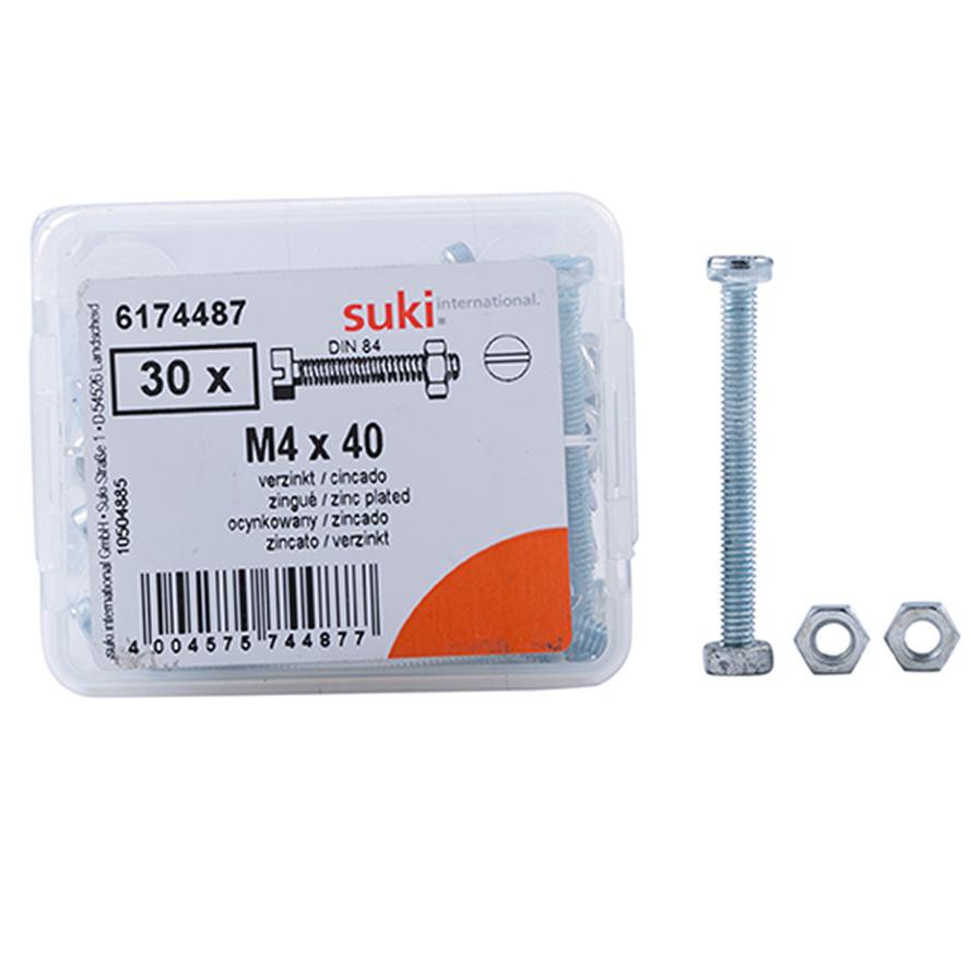 Suki Zinc-Plated Pan-Head Slotted Machine Screws (M4 x 40 mm, Pack of 30)