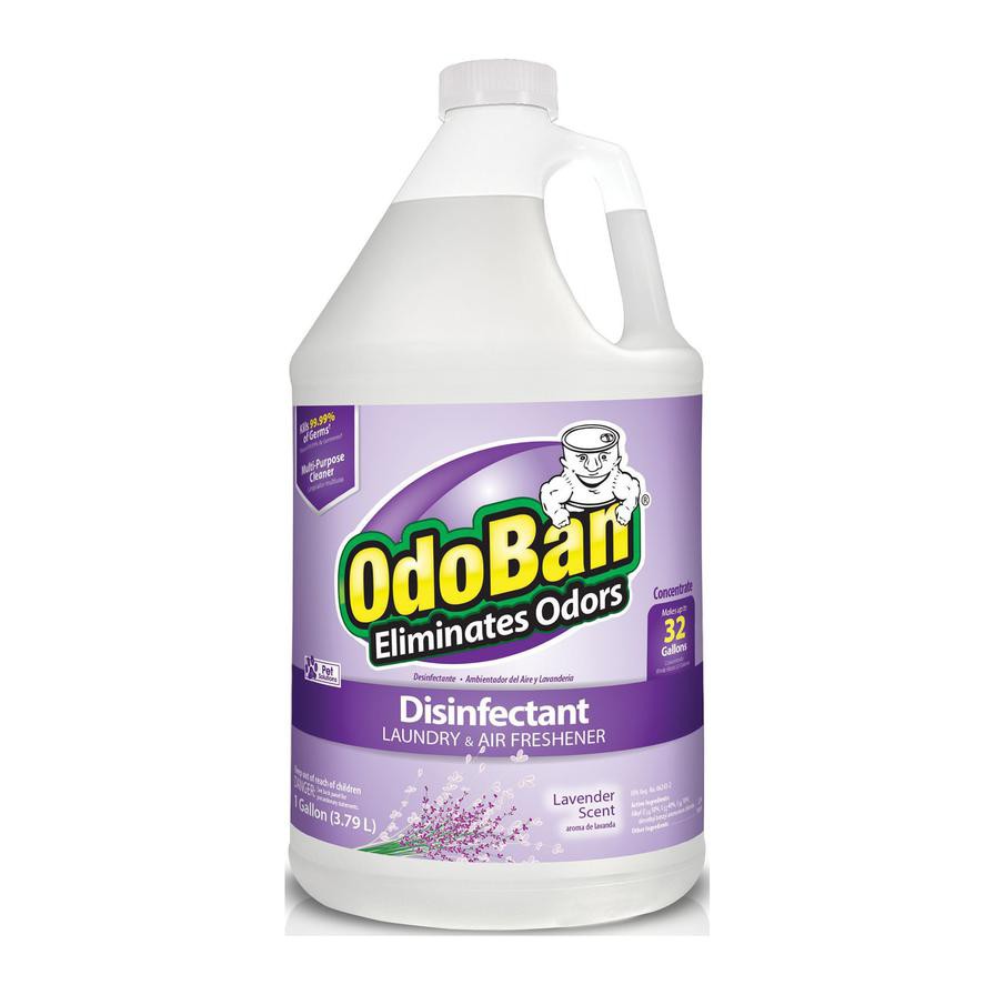 OdoBan Disinfectant Liquid (3.7 L, Lavender)