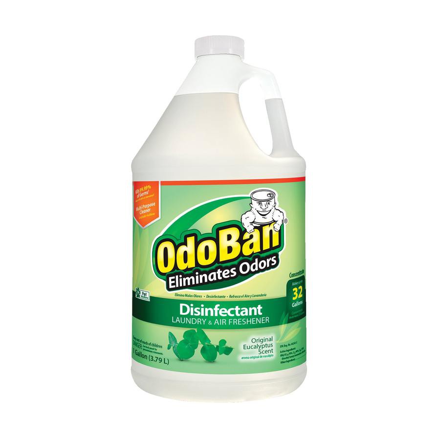 OdoBan Disinfectant Liquid (3.7 L, Eucalyptus)