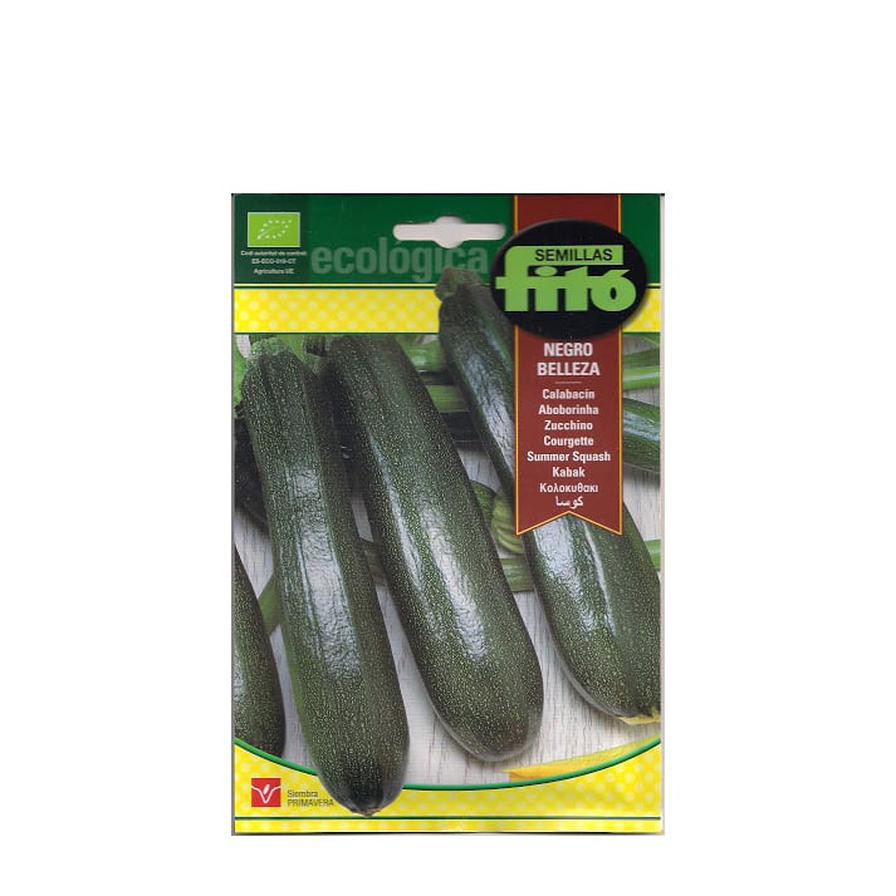 Fito Summer Squash Black Organic Seed Pack  (10 g)