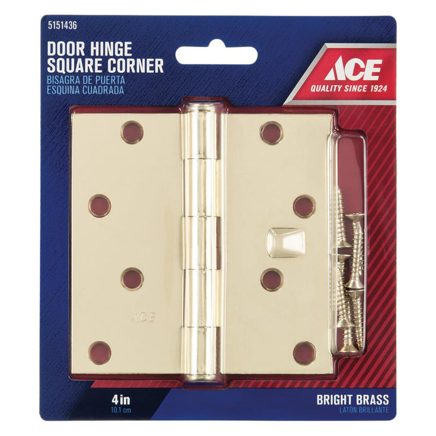 Ace Steel Residential Door Hinge (10 cm)