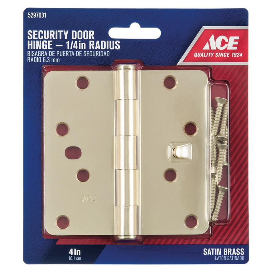 Ace Steel Residential Door Hinge (10 cm)