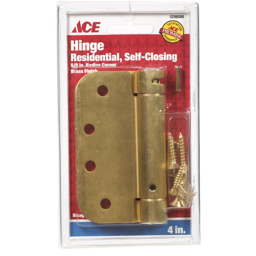 Ace Brass Non-Mortise Hinge (7.62 cm, 2 Pc.)