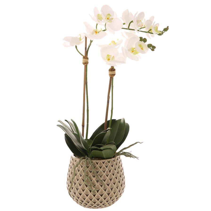 Artificial Orchid Plant (60 cm, White)