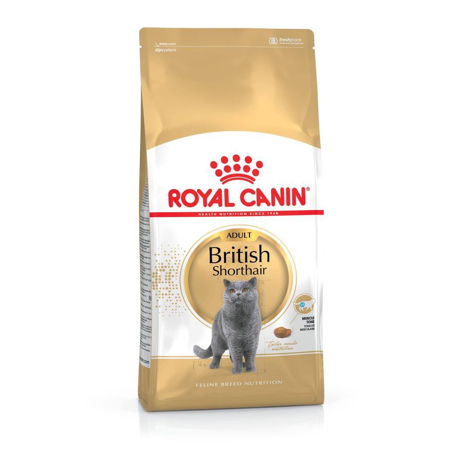 Royal Canin Feline Breed Nutrition British Shorthair Cat Food (4 kg)