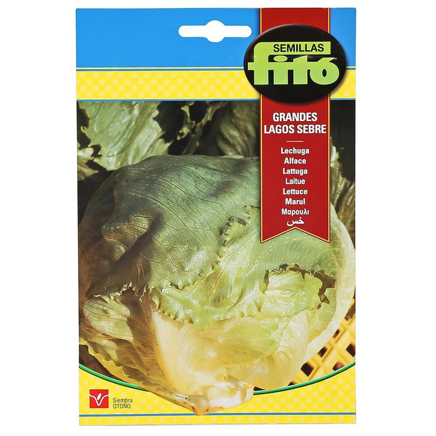 Fito Lettuce Great Lakes Sebre (6 g)