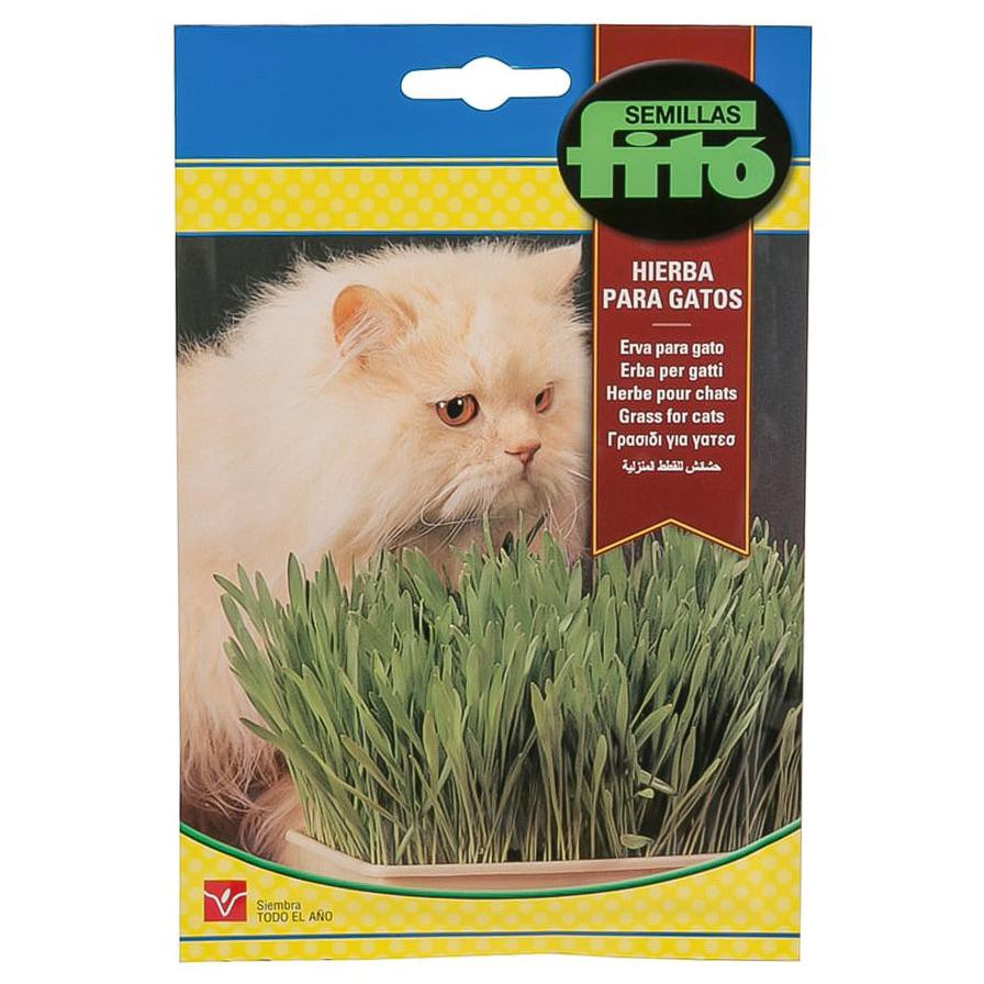 Fito Grass for Cat Seeds