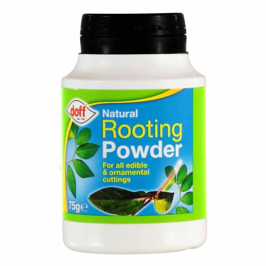 Doff Natural Rooting Powder (75 g)