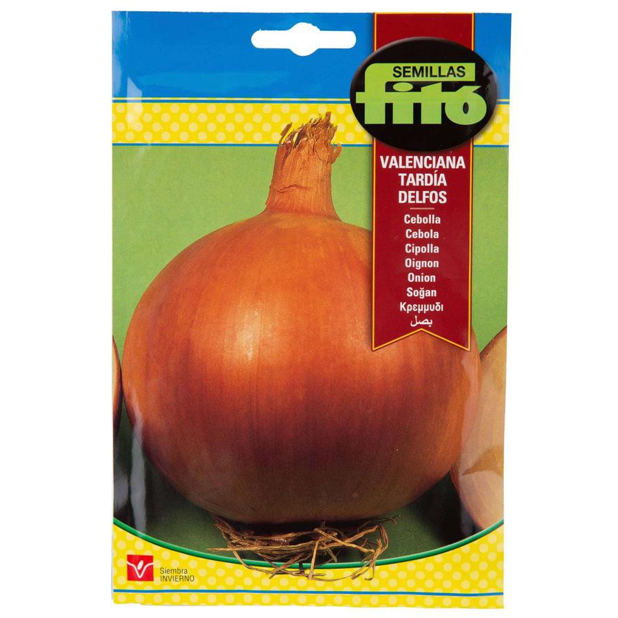 Fito Seed Onion Delfos (7 g)