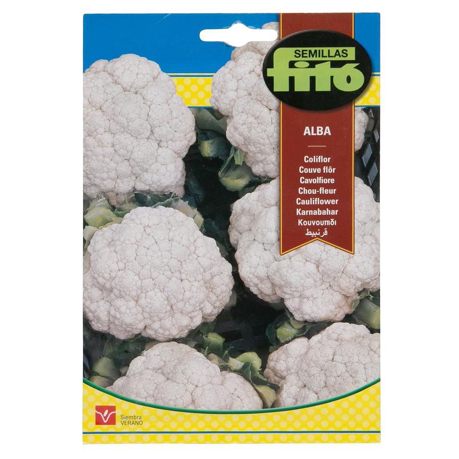 Semillas Fito Coliflor Alba (Cauliflower) Seeds