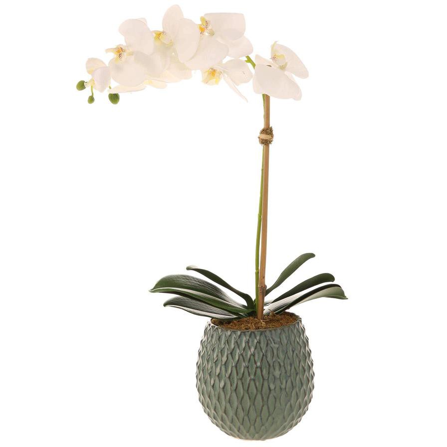 Artificial Orchid Plant (60 cm, White)