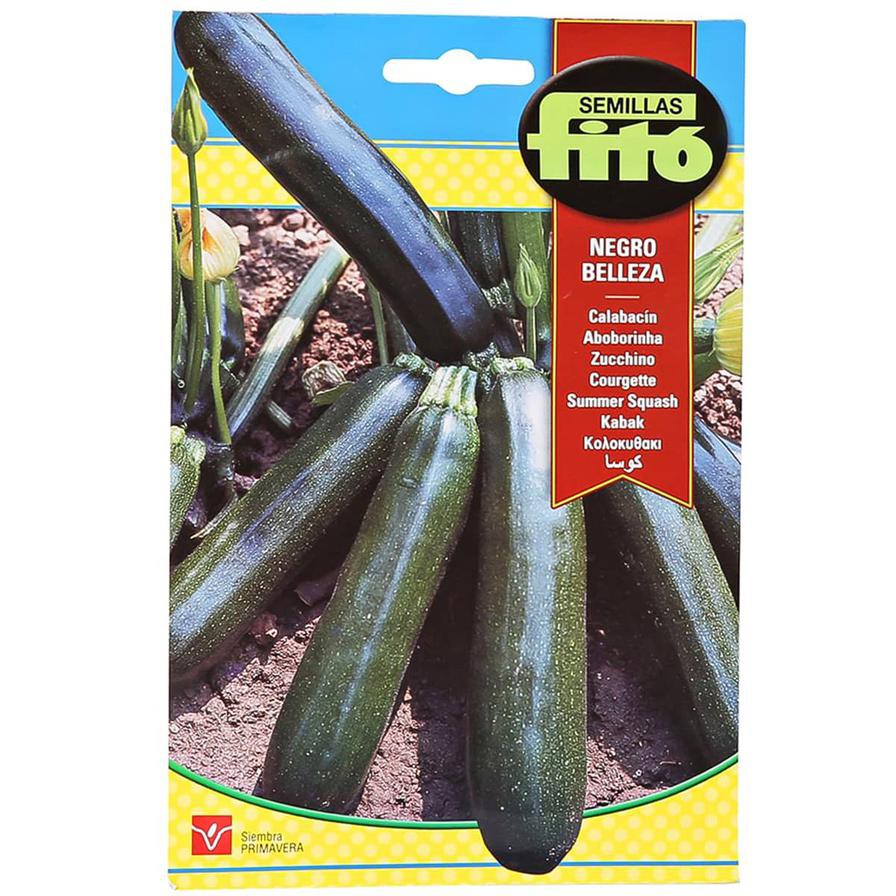 Fito Summer Squash Negro Belleza (10 g)