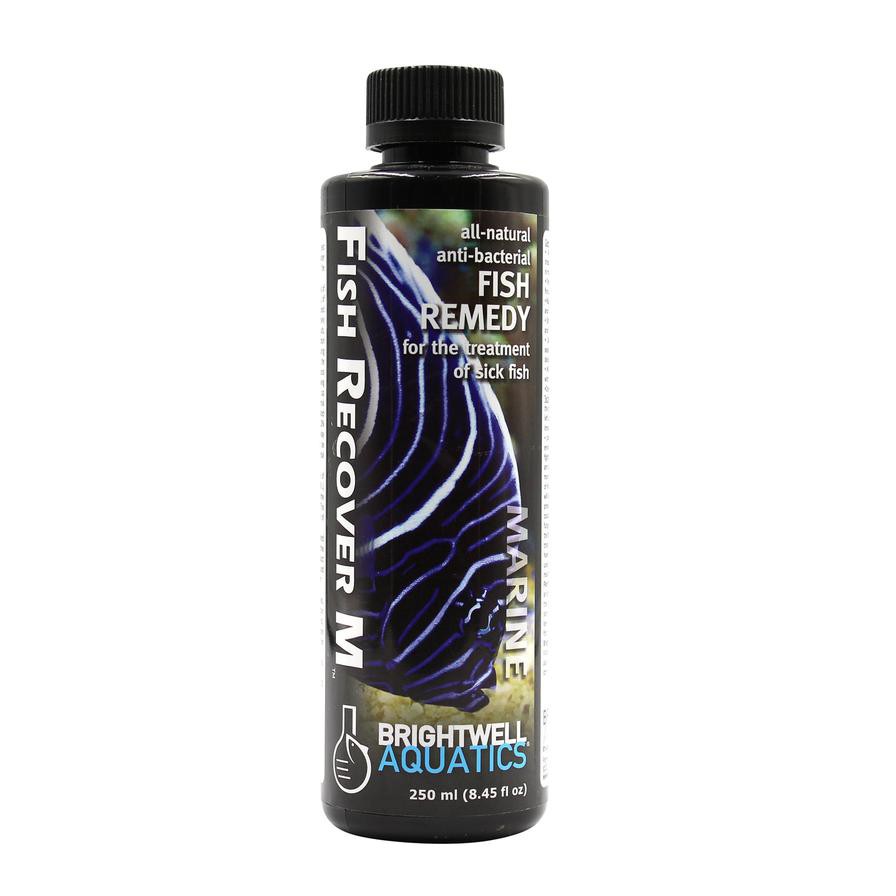 Brightwell Aquatics Fish Recover M Fish Medication (250 ml)