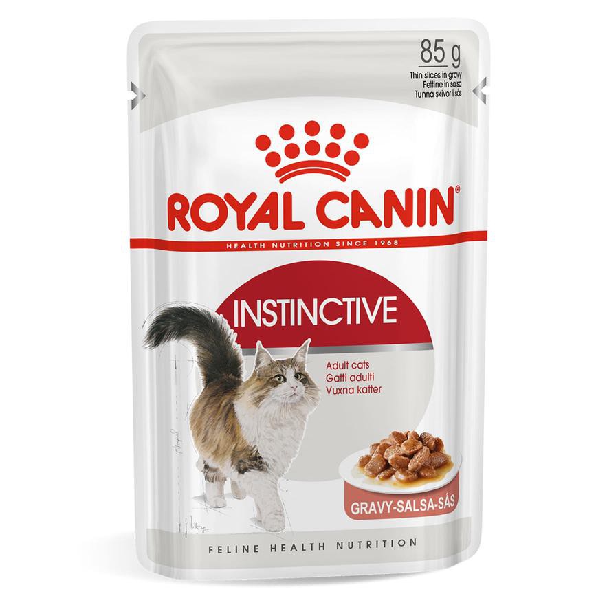 Royal Canin Feline Health Nutrition Instinctive Wet Cat Food (Chunks in Gravy, Adult Cats, 85 g)