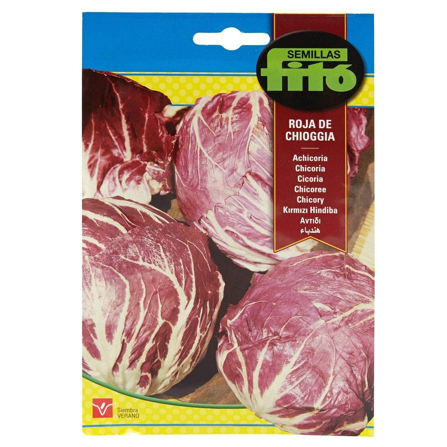 Fito Achicoria Roja de Chioggia (Red Chicory) Seeds (2 g)