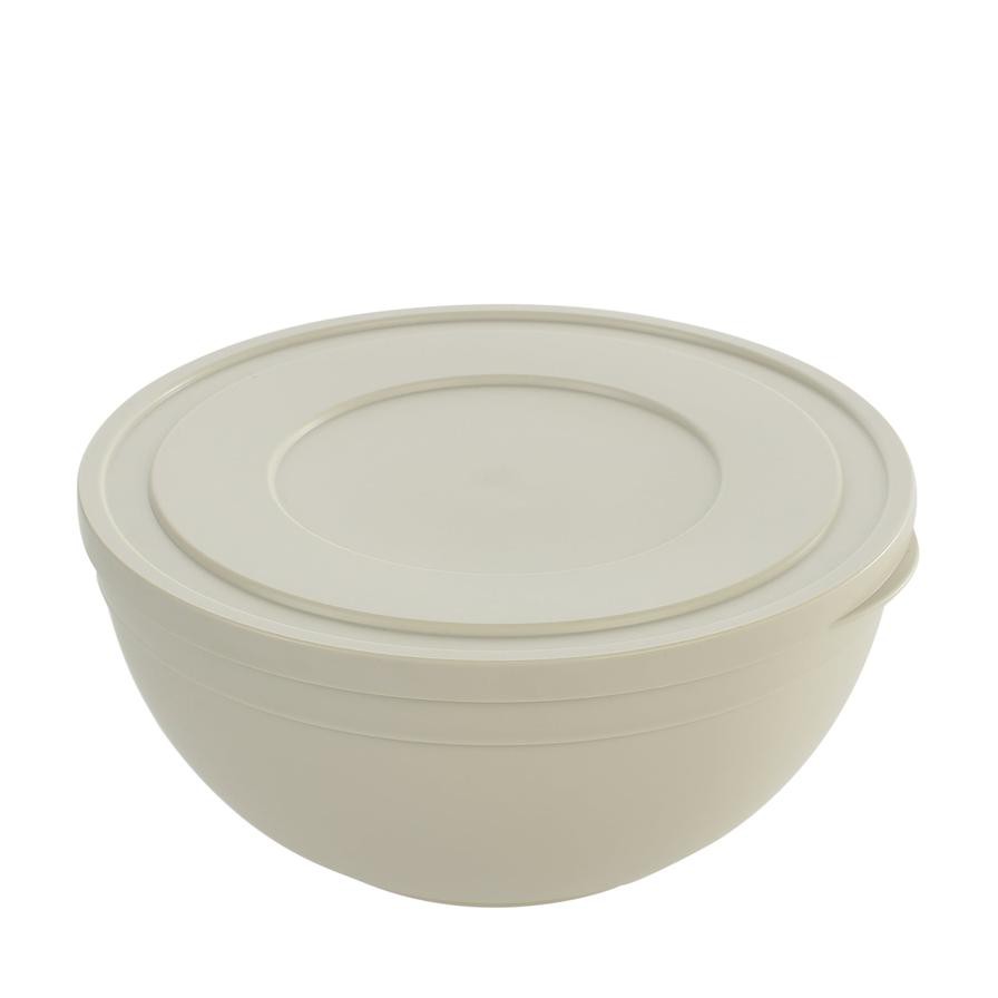 Hobby Life Plastic Sand Bowl W/Lid (4 L, 25 x 25 x 12.1 cm)