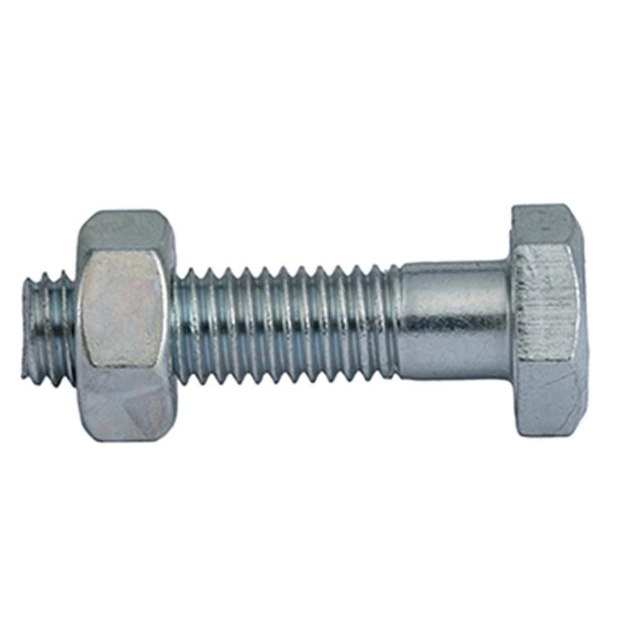 Suki Hex Zinc-Plated DIN601 Steel Screws (M10 x 40 mm )