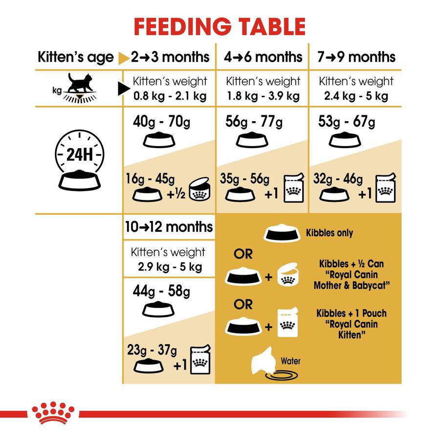 Royal Canin Feline Breed Nutrition British Shorthair Dry Cat Food (Kitten, 2 kg)