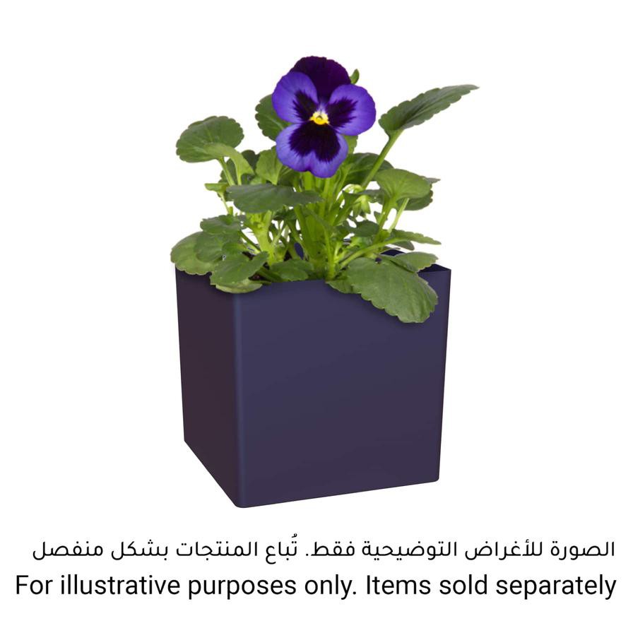 Artevasi Oslo Plant Pot (31 cm)