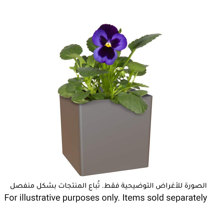 Artevasi Oslo Plant Pot (31 cm)