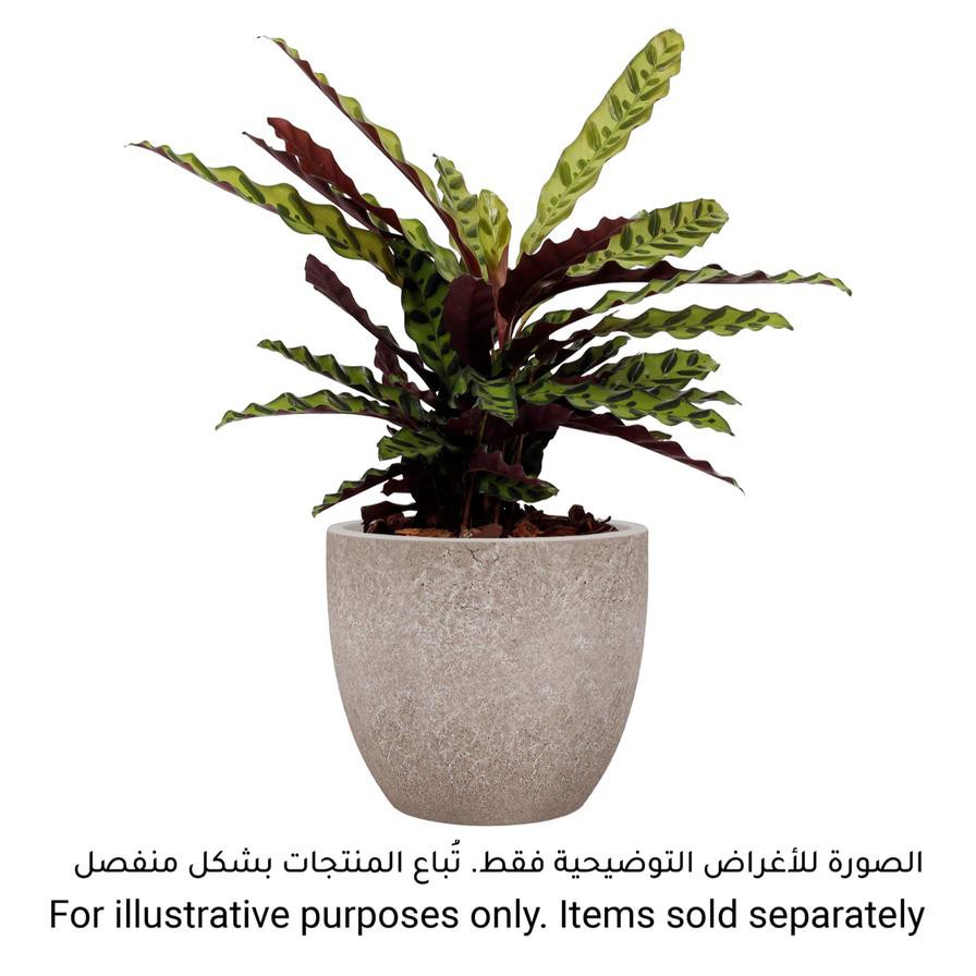 Artevasi Hestia Ceramic Plant Pot (25 cm)