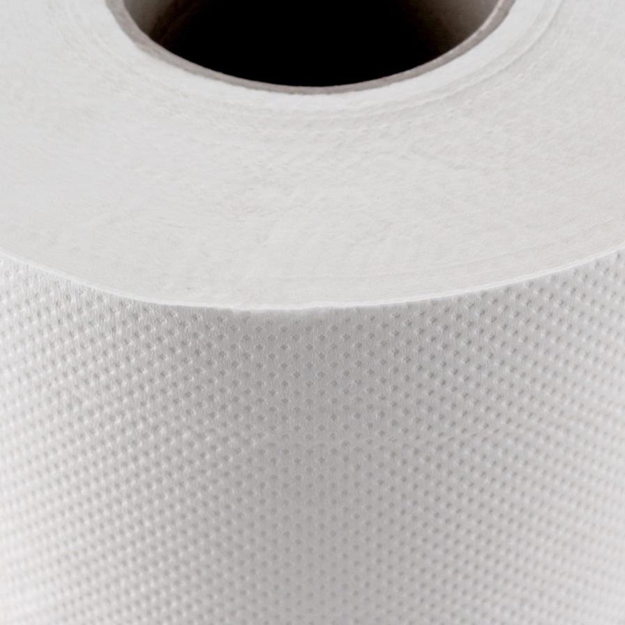Pure 2Ply Maxi Roll Tissue (350 m, Pack of 2)