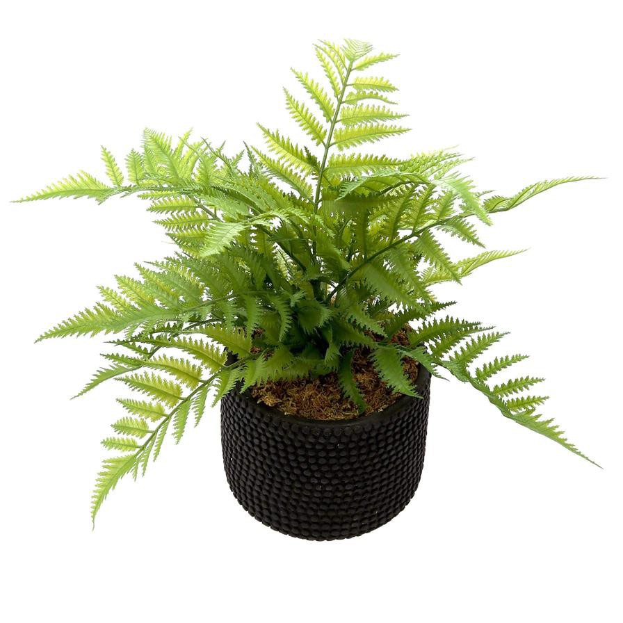 Artificial Potted Fern Plant (45 cm)