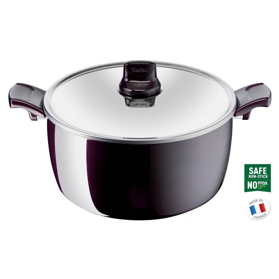 Tefal G6 Resist Intense Steel Stew Pot W/Lid (24 cm)