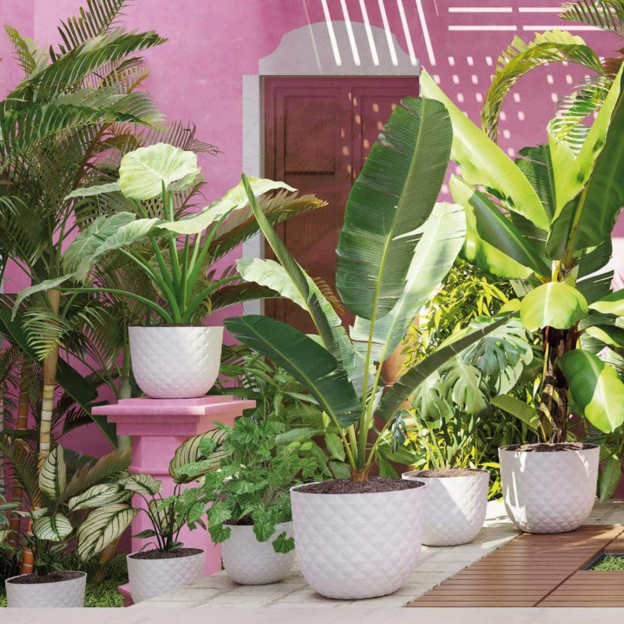 أصيص نباتات بلاستيكي استوائي أرتيفاسي هافانا (40 × 33.2 سم)