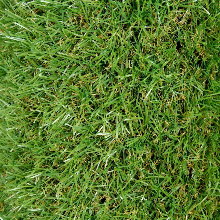 Dennis Artificial Grass ( 2 x 4 m, 20 mm)