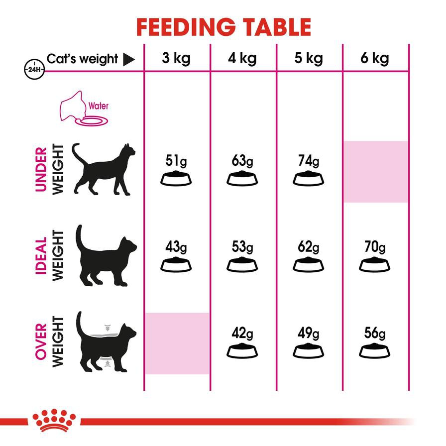 Royal Canin Feline Exigent Nutrition Cat Food (4 kg)