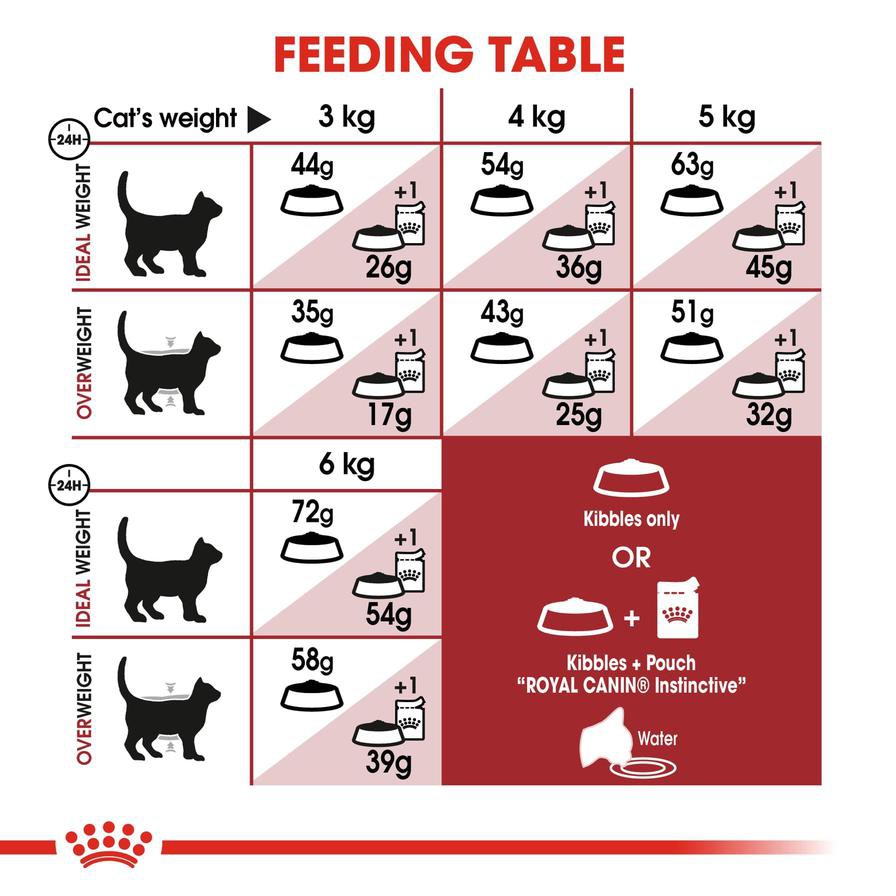 Royal Canin Feline Fit Cat Food (10 Kg)