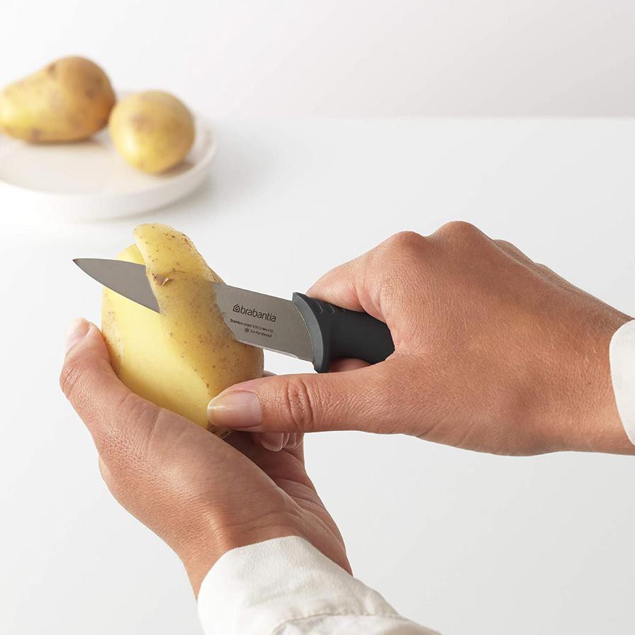 Brabantia Tasty+ Steel Paring Knife (1.7 x  2.5 x 20 cm)