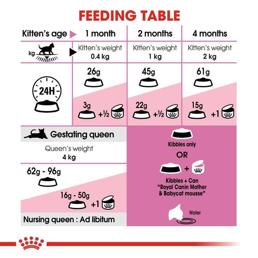 Royal Canin Mother & Babycat Dry Cat Food (Adult Cats/Kittens, 400 g)