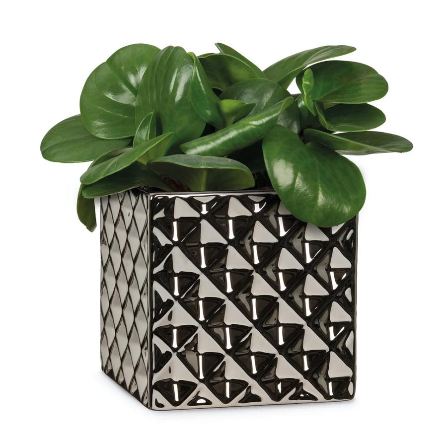 Scheurich Crystal Ceramic Plant Cover Pot (17 cm)