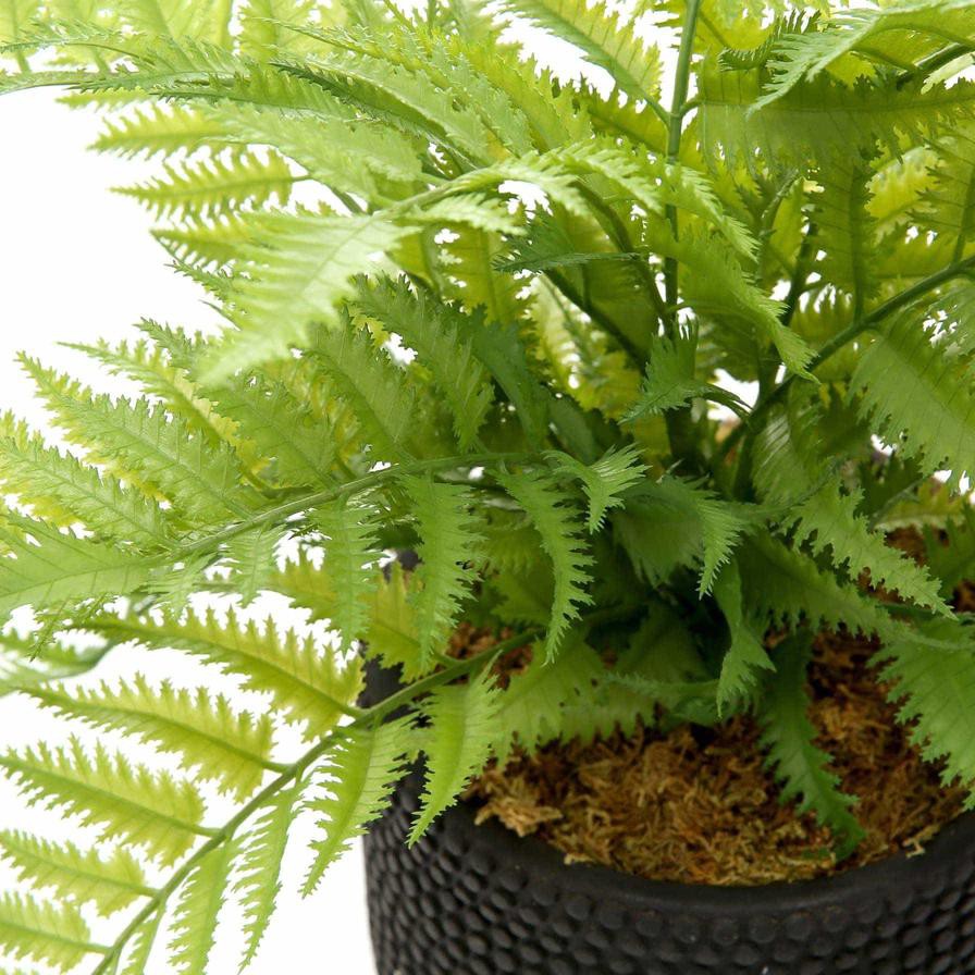 Artificial Potted Fern Plant (45 cm)