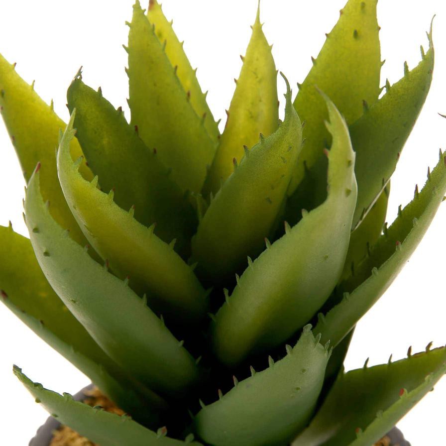 Artificial Potted Agave Plant (30 cm)