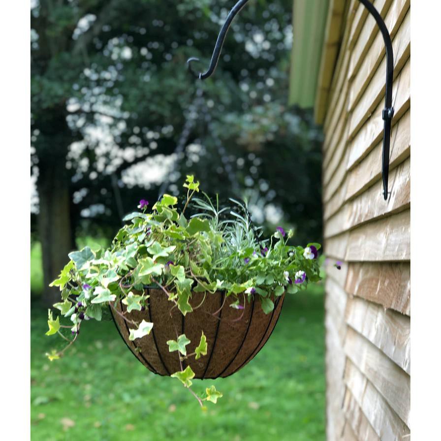 Tildenet York Classic Hanging Basket W/Coco Liner (30 cm)