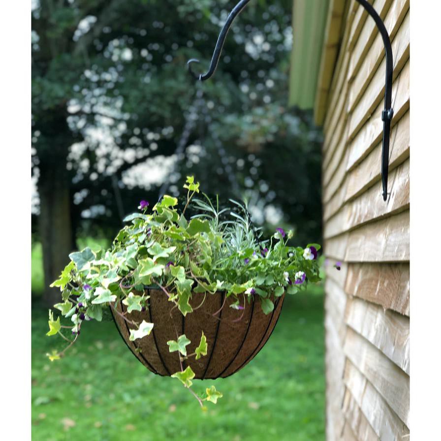 Tildenet York Classic Hanging Basket W/Coco Liner (35 cm)