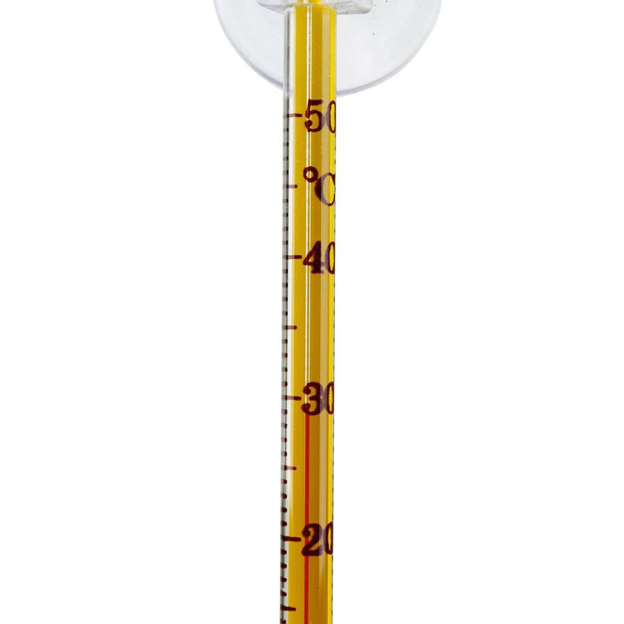 Chicos Glass Thermometer (14.5 cm)