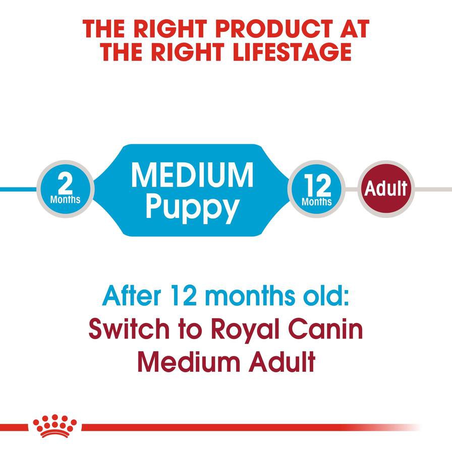 Royal Canin Size Health Nutrition Medium Junior Dog Food (10 kg)