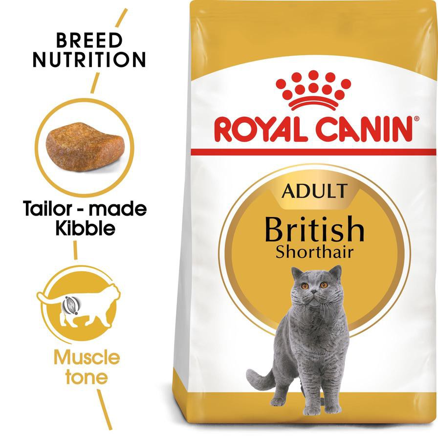 Royal Canin Feline Breed Nutrition British Shorthair Cat Food (4 kg)