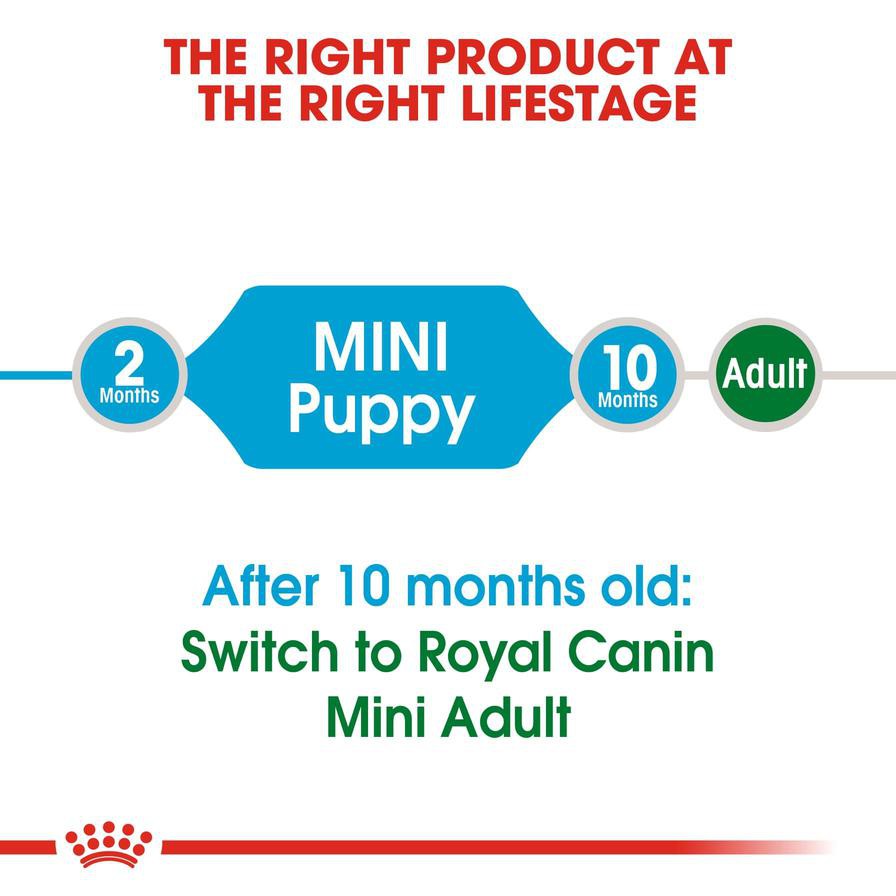 Royal Canin Mini Junior Dog Food (2 kg)