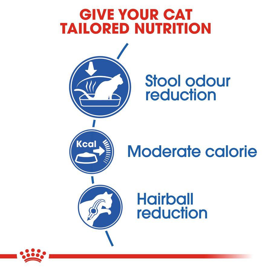 Royal Canin Feline Indoor Complete Adult Cat Food (10 kg)