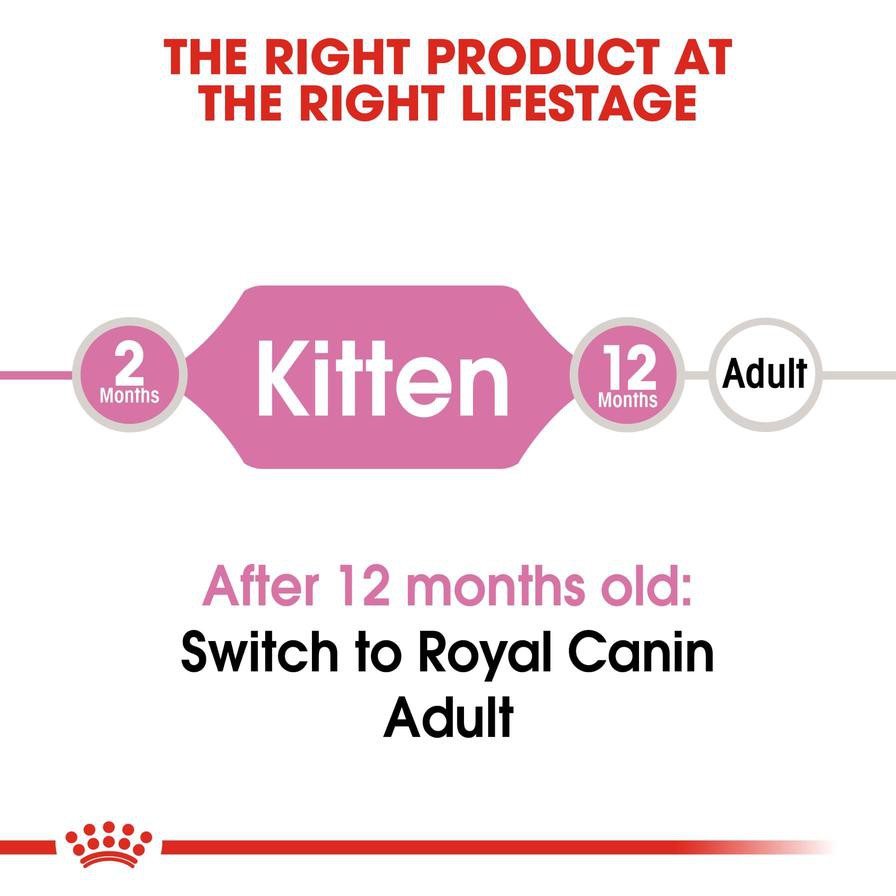 Royal Canin Feline Health Nutrition Digestive Health Cat Food (Kittens, 2 kg)