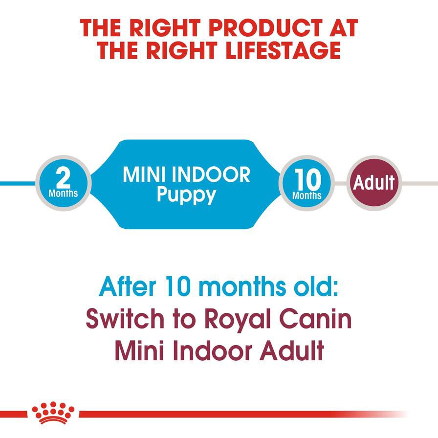 Royal Canin Mini Indoor Junior Dry Dog Food (Small Puppy, 1.5 kg)