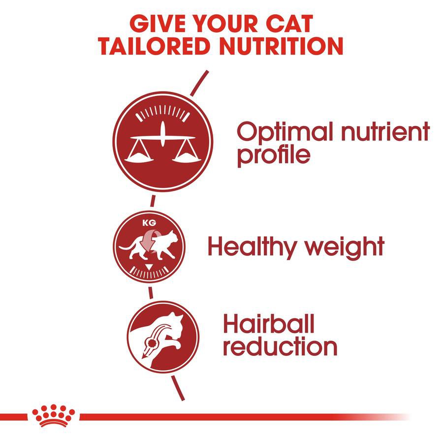 Royal Canin Feline Fit Cat Food (10 Kg)